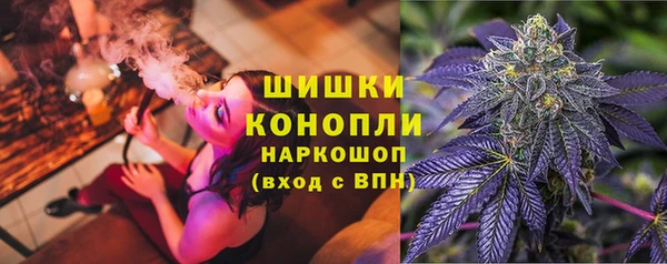 прущий лед Арсеньев