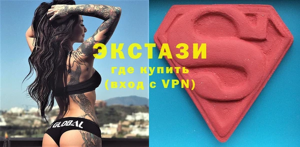 хмурый Пересвет