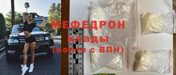 хмурый Пересвет